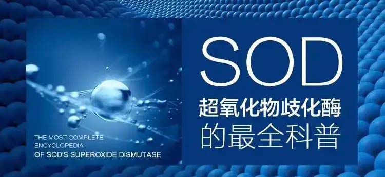 全球科学家竞相研究的超级酶“SOD”，究竟有什么神奇之处？