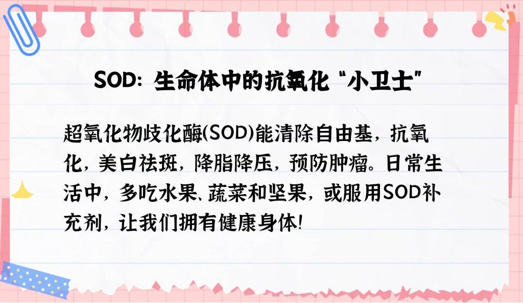 自由基的克星：SOD的神奇功效