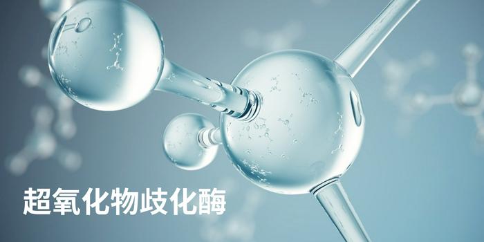 SOD超氧化物歧化酶的功效与作用有哪些？