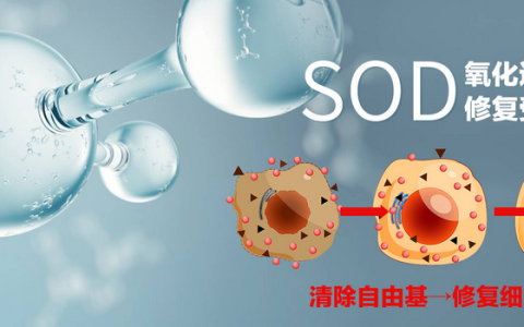 探索超氧化物歧化酶的神奇功效