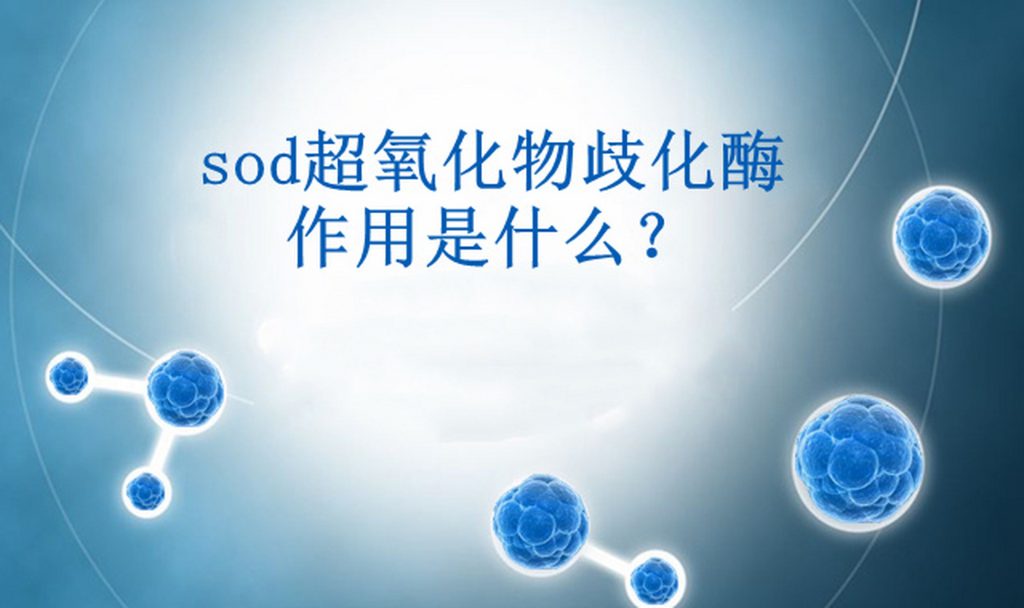 带你全面了解超氧化物歧化酶