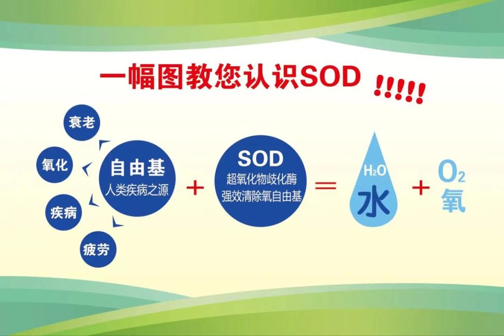 超氧化物歧化酶：护肤界的明星成分
