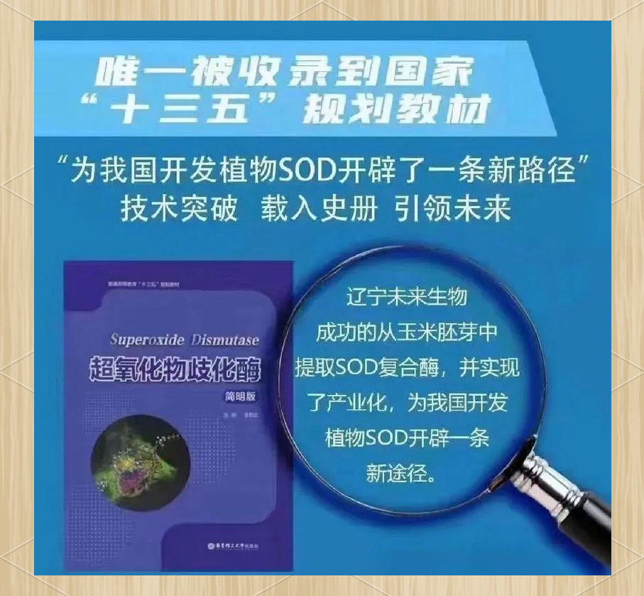 玉米胚芽粉：健康膳食的新选择