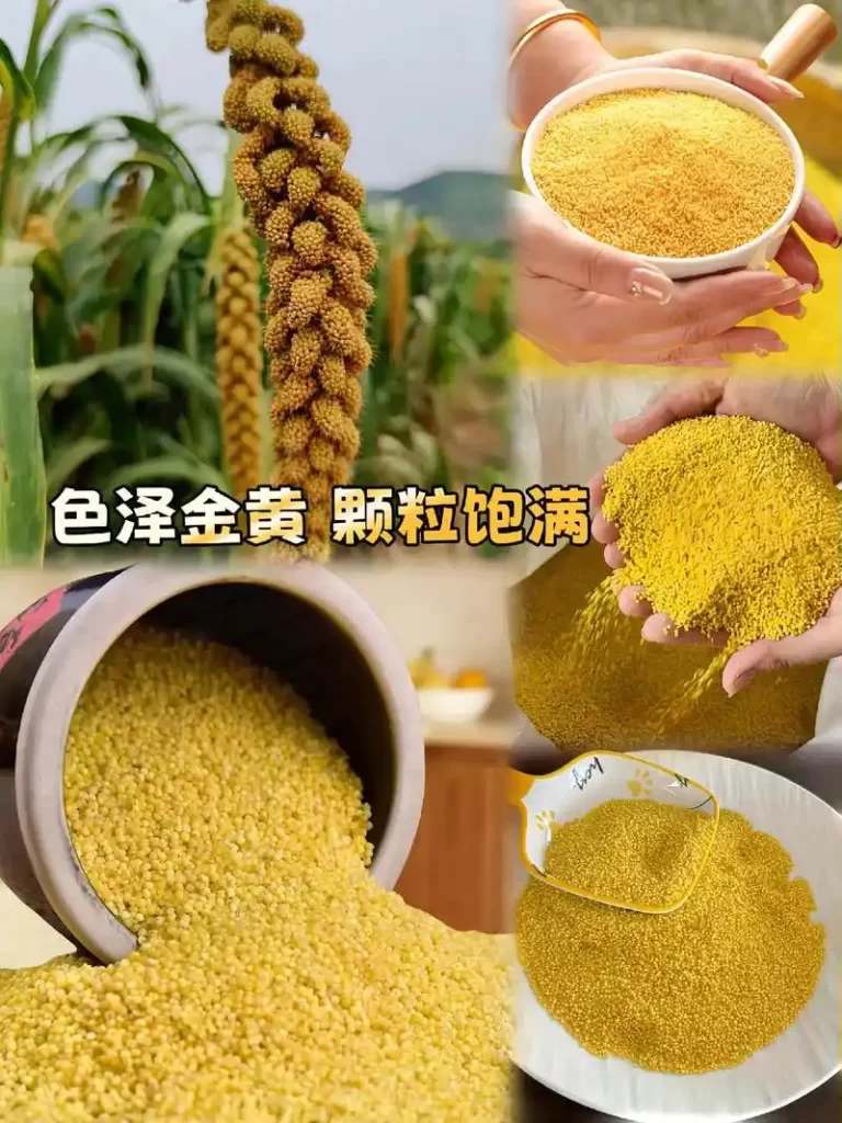 带您全面了解玉米胚芽粉生产工艺流程，让您买的更放心！