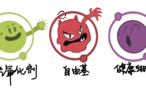 抗氧化真的有用吗？抗氧化真的可以延缓衰老吗？