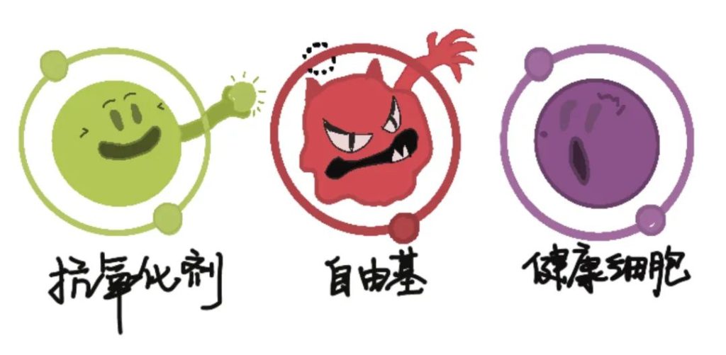 抗氧化真的有用吗？抗氧化真的可以延缓衰老吗？