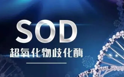 SOD的10大隐藏能力曝光：护血管、抗衰老、熬夜党的福音！