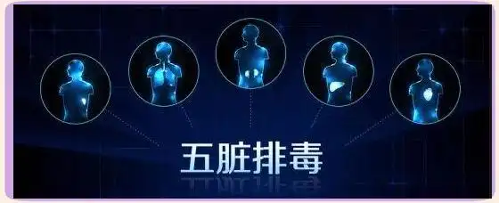 服用SOD玉米胚芽粉：方法、反应与影响因素详解