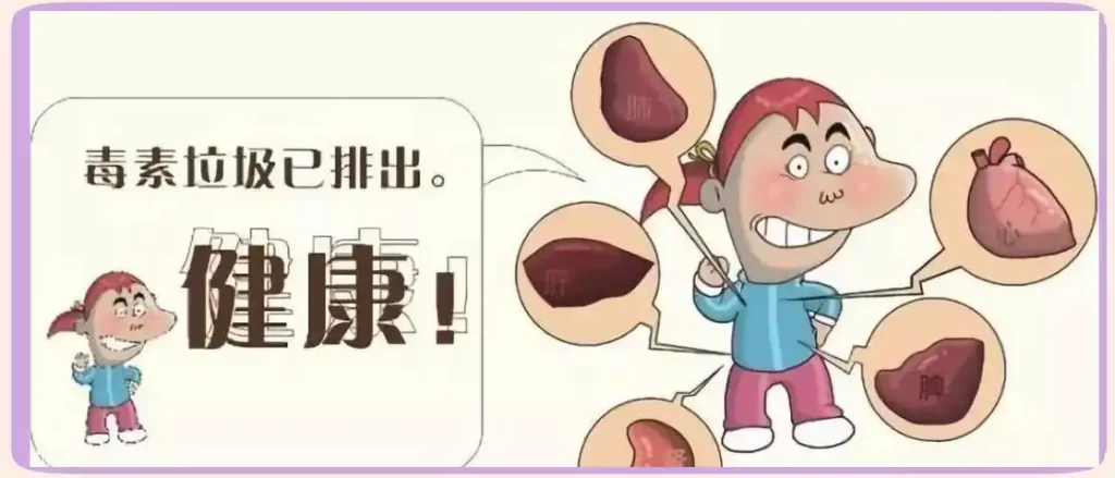 服用SOD玉米胚芽粉：方法、反应与影响因素详解