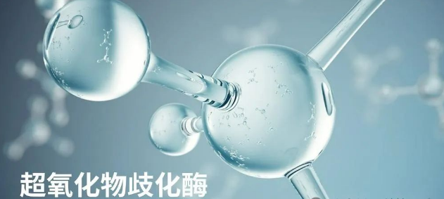 为什么部分人服用SOD后没有效果？这6个常见原因你知道吗？