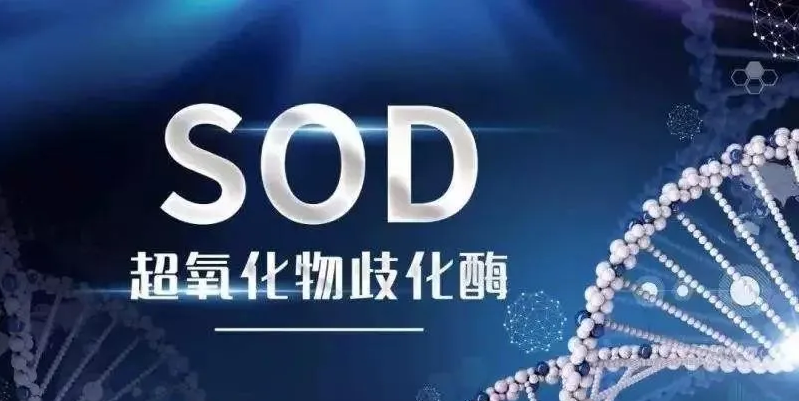 全民SOD补充：开启健康新纪元
