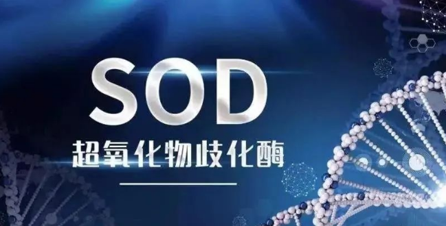 警惕！专家曝惊人真相：30岁后不补SOD，老年痴呆风险竟飙升2倍！