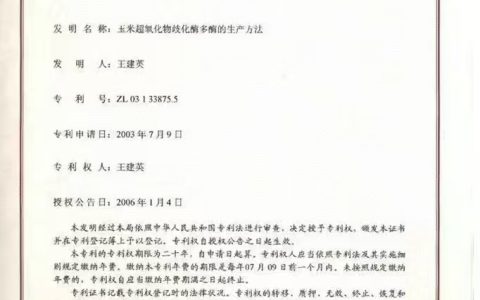 两项发明专利证书+一项实用新型专利证书