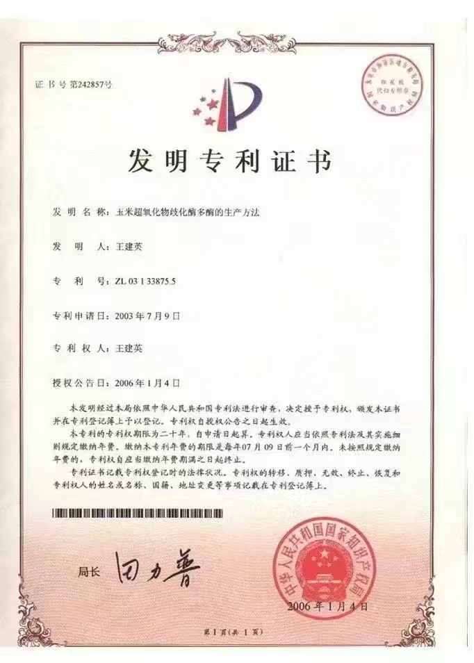 两项发明专利证书+一项实用新型专利证书