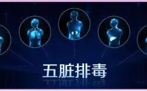 服用SOD玉米胚芽粉：方法、反应与影响因素详解