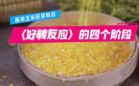 服用玉米胚芽粉后〈好转反应〉的四个阶段（建议收藏）