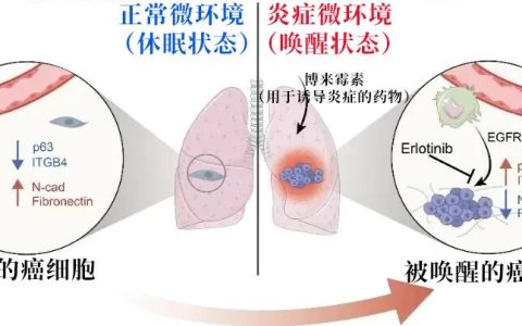 央视新闻：长期炎症会“唤醒”癌细胞！这份抗炎指南每个人都该看看